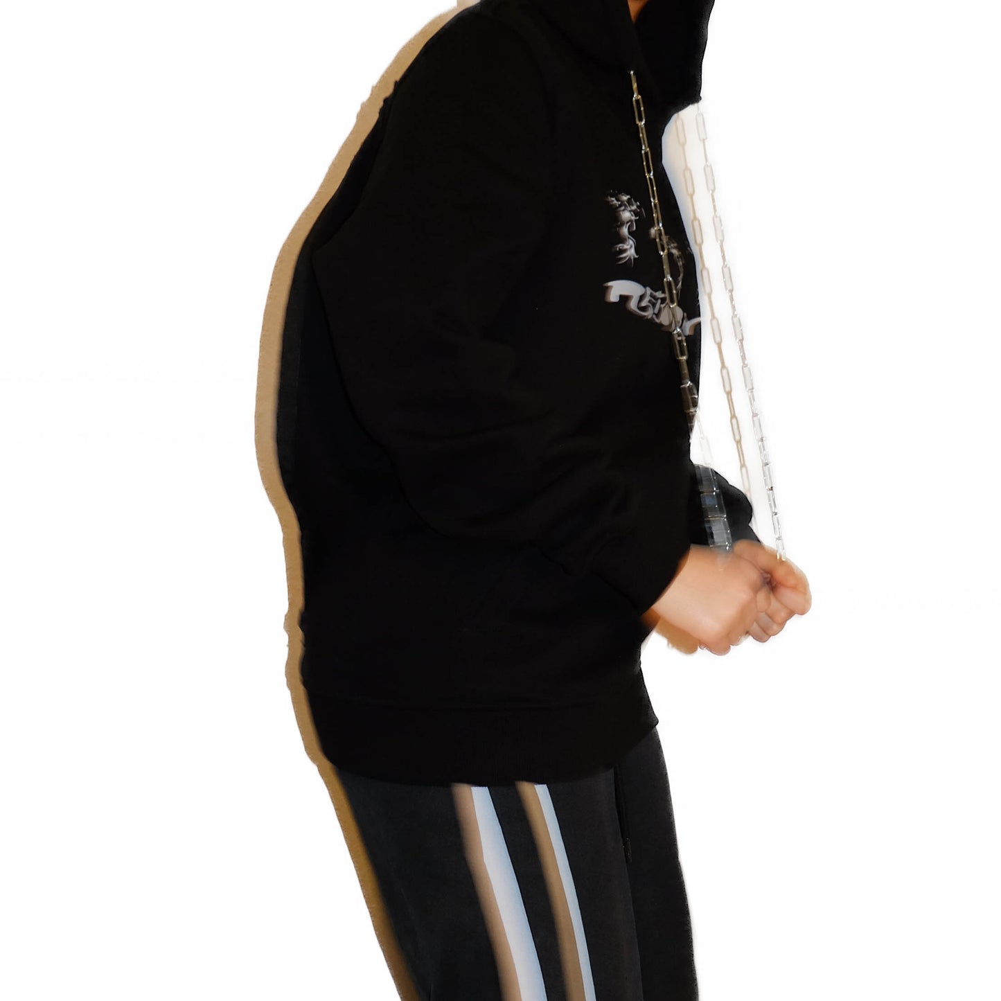Metalic Hoody